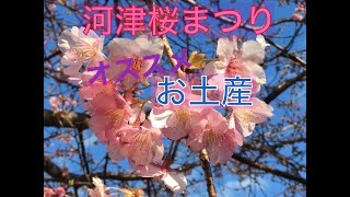 河津桜まつりのおススメお土産　東伊豆おいしいテレビ♪