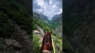 Чаткальский хребет.Кыргызстан🇰🇬 #horse #mountains #горы #природа #travel #animals