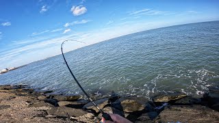 Jetty Tautog Fishing : Tips, Techniques, & Big Catches