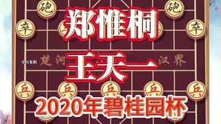 2020年的第九届碧桂园杯象棋冠军赛，郑惟桐VS王天一