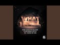 What I Feel (feat. Sharon May Linn) (German Radio Edit)