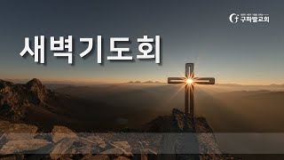 2024.11.19 | 새벽기도회 | 요한계시록 1:9~20 | 정주일  목사