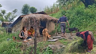 This is Himalayan Nepali Village Lifestyle | Organic Food Cooking in Countryside | Hari Rokaya Life