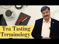 Tea Tasting Terminology: Part-1 | Chai Guru | #teatasting #teabusiness