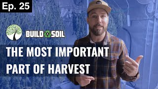 BuildASoil: OUR DRYING PROCESS, HARVEST PT 2 (Season 4, Episode 25)