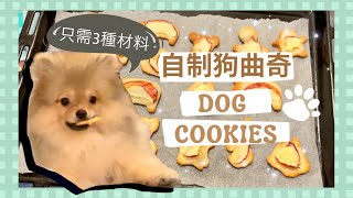 DIY dog cookies/ crackers 🍪丨ONLY 3 ingredients 🐾丨Super easy and quick