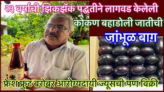 २३ वर्षाची झिगझॅक पद्धतीने लागवड केलेली जांभूळ बाग।कोकण बहाडोली जांभूळ।Konkan Bahadoli