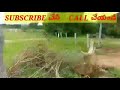 7 acers agriculture land for sale in telangana bt road bitt jangaon warangal ghanpur