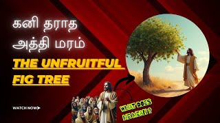 கனி தராத அத்தி மரம் | The unfruitful fig tree