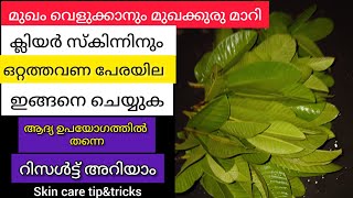 പേരയില കൊണ്ട് മുഖത്തിലെ പാടുകൾ മാറ്റാനും മുഖം ക്ലിയർ ആവാനും ഈ ഒരൊറ്റ face pack മതി!viral face pack