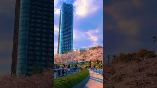 #Short Tokyo Midtown / 東京ミッドタウン #japan #japangram #traveljapan