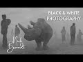 Black and White Photography - 