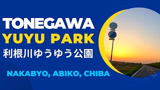 Nakabyo, Abiko, Chiba: Tonegawa  Yuyu Park 利根川ゆうゆう公園