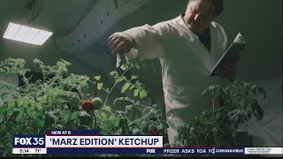 Heinz working with Florida Tech professor to grow tomatoes on Mars