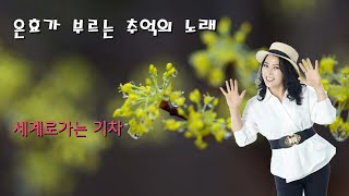 #추억의노래 / #세계로가는 기차(들국화) / #은효 ★ 좋은가요 / #트로트가수은효