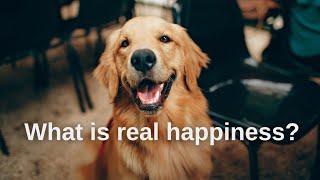 Unlocking the Secrets of "Flow" – The Ultimate State of Happiness!
