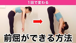 【超硬い人向け】前屈できない人も1回で変わる！ガチガチのもも裏が柔らかくなり前屈が深まるストレッチ【ハムストリングス/腰痛改善】