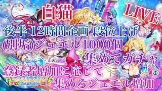 【白猫プロジェクト】初見さん大歓迎！(後半）12時間企画（別垢）ジュエル1000個集めてガチャ！！（概要欄見てください）