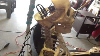 Halloween skeleton in rocking chair prop - part 2