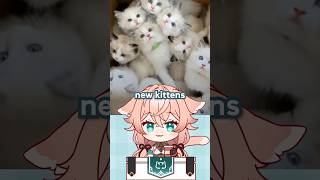 cat island is disappearing!! #vtuber #japantravel #japan