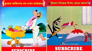 কুত্তা যখন কক্সবাজার 🤣|বিড়াল নিজের বিপদ নিজেই ডেকে আনলো|#cartoon #funnyvideo #cartoonstory