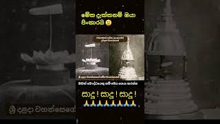 සාදූ සාදූ සාදූ #daladamaligawa  #buddha #shorts