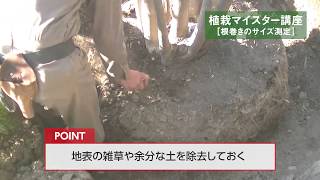 ［植栽マイスター］根巻きのサイズ測定