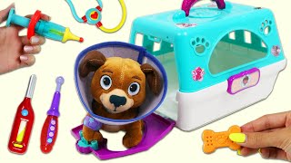 Disney Jr Doc McStuffins Findo Pet Crate Visits Toy Hospital Doctor & Paw Patrol Color Wonder Book!