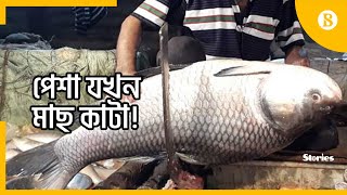 পেশা যখন মাছ কাটা! - Professional Fishmonger | Fish Cutting In Bangladesh