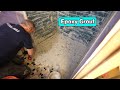 Grouting Pebble Stone | Epoxy Grout