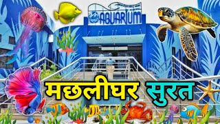 fish aquarium || fish aquarium surat || Jagdishchandra Bose Aquarium Surat || Machlighar surat