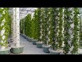 Grow 10X More In the Same Space with 90% Less Water | More Nutritious & Less Waste with Aeroponics