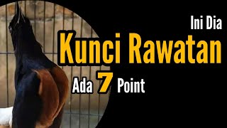 Kunci Rawatan Ada 7 Point | Bengkel Murai Batu