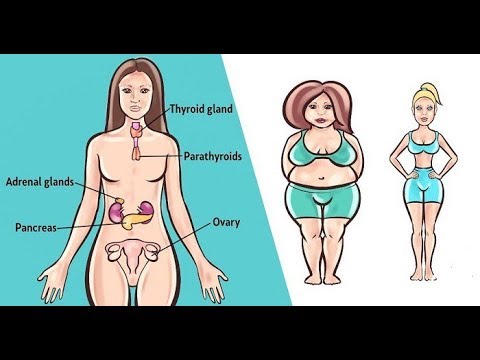 Top 6 Herbs To Balance Your Hormones Naturally | All about your Health Top 6 Herbs To Balance Your Hormones Naturally | All about your Health