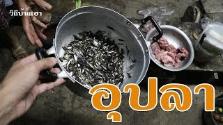 อุปลาซิวสดๆๆ หลังฝนตก แซ่บนัวสไตล์บ้านๆ เด้อพี่น้อง