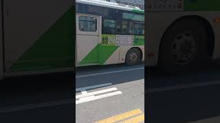 광주 송정296번 버스 광주송정역 출발영상