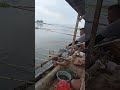 tarikan kedua ikan nila #fishing #ikan #videoviral