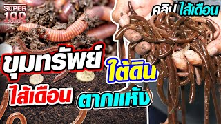 [ENG SUB] ไพฑูรย์สุดยอดนักหาขุมทรัพย์ใต้ดิน ไส้เดือน ตากแห้ง!! | SUPER100