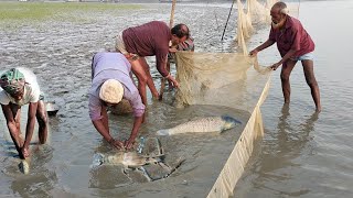 আশ্চর্যজনক গড়া জাল দিয়ে।।নদীর থেকে বড় মাছ শীকার।।Big roe fish shrimp fish Saul Fishing video