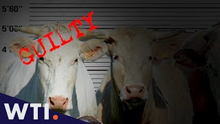 Download Eat Meat From Animals That Deserved to Die | We The Internet TV mp3