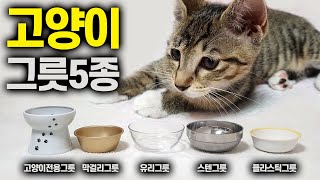 고양이 사료그릇 5종류 중 어떤 선택을 할까? 전용사기그릇, 막걸리그릇, 플라스틱그릇, 유리그릇, 스텐그릇