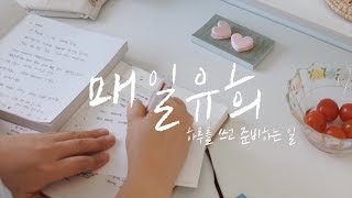 [매일유희vlog] 선물을 준비하고 엽서쓰기, 따뜻한 전시 보기, 하루종일 반찬만드는 집순이 일상 브이로그