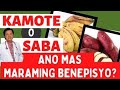 Kamote o Saging na Saba: Ano Mas Maraming Benepisyo?- By Doc Willie Ong (Internist and Cardiologist)