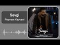 peyman keyvani sevgi پیمان کیوانی سئوگی