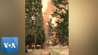 Massive Flames Engulf California National Forest