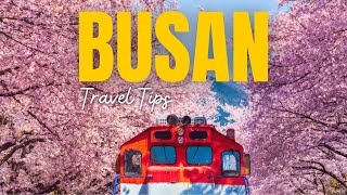 BUSAN TRAVEL TIPS | 10 BEST PLACES TO VISIT AND THINGS TO DO IN BUSAN SOUTH KOREA