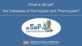 What is dbGaP, the database of Genotypes and Phenotypes?