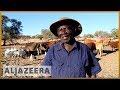 South Africa's worst drought in years affects farmers