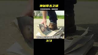 兄妹誤入神秘草叢，被困再也走不出來？燒腦懸疑劇！ #电影 #电影解说 #影视 #影视解说 #剧情