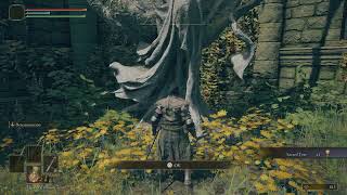 Early Limgrave Sacred Tear Location | Elden Ring